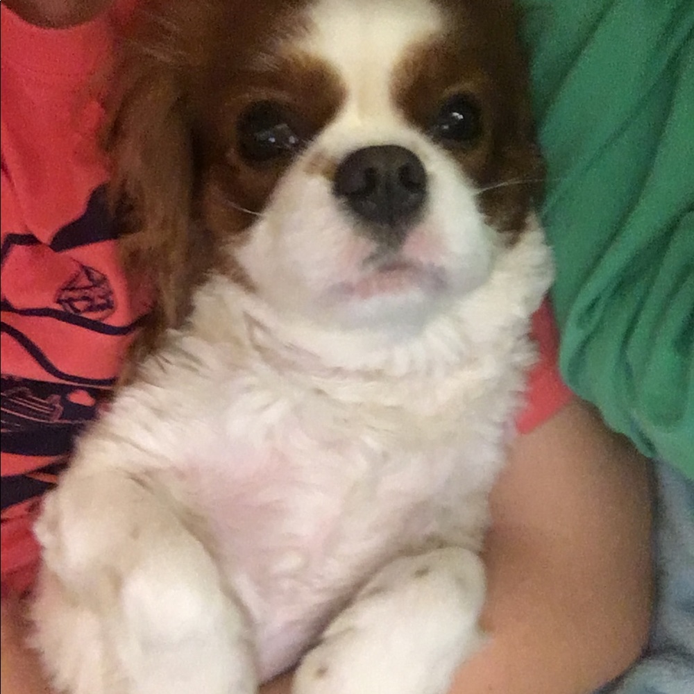 Meet your Posher, Alissa